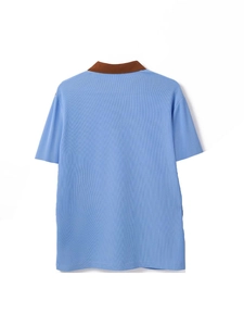 Rear view of light blue polo shirt with textured waffle knit fabric and brown contrast collar