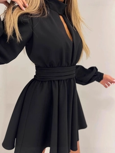 Elegant black high-neck dress with long sleeves featuring waist pleats and front cutout