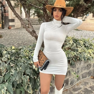 Women Sexy Slim Fit Mock Neck Long Sleeve Ribbed Knit Mini Dress Solid Color Side Slit Bodycon Knitted Dress For Party Daily
