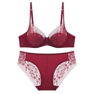 Detail view of burgundy lace embroidery lingerie set with underwire bra and matching panties