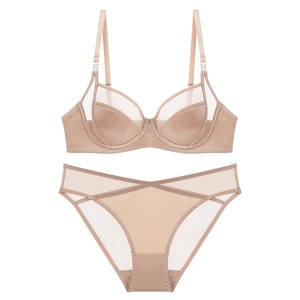 Champagne mesh lingerie set featuring satin cups with underwire and matching briefs