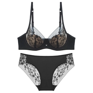 Lace embroidered lingerie set with soft underwire bra and sheer mesh briefs in black