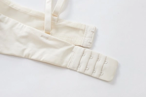Detail view of four-row hook-and-eye closure and mesh lining on cream lace bra
