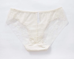 Detail of ivory lace panty with floral embroidery and breathable mesh fabric textures