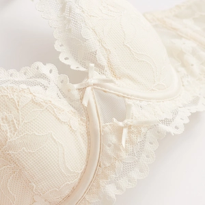 Elegante push-up bh van crèmewit kant met bloemig borduursel en verfijnd strikje detail
