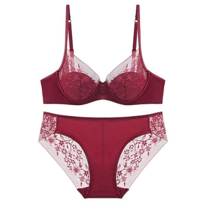 Women French Style Thin Lace Embroidered Lingerie Top And Bottom Sexy Floral Embroidery Underwear For Lady