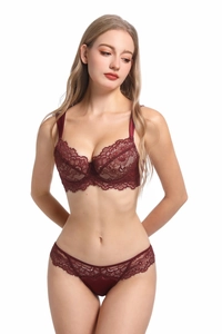 Lace lingerie set in burgundy featuring eyelash trim and matching semi-sheer briefs
