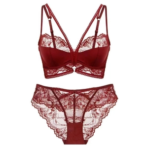 Lace lingerie set with sheer floral bra and matching briefs in deep red finish
