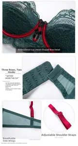 Detail of dark green lace bra with red satin trim, adjustable straps and hook-and-eye closure