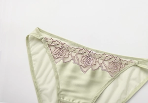 Dettaglio di slip verde menta con ricami di rose eleganti e tessuto in rete trasparente