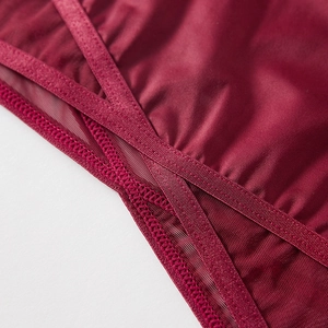 Biancheria intima a rete rosso scuro con tessuto liscio e dettagli a incrocio