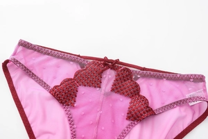 Close-up of rose red mesh panties with fine lace embroidery and small ribbon bow detail