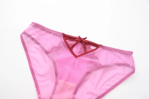 Detailed macro view of pink mesh panties featuring heart embroidery and bow detail