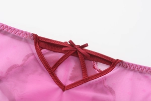 Detail of pink mesh panties with a silk bow and contrasting dark red trim and embroidery