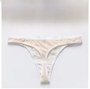 Detailed macro view of the leaf embroidery and sheer mesh on lace thong underwear