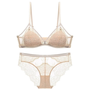 Exquisite champagne lace lingerie set featuring floral mesh details and wire-free bra