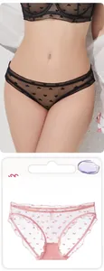 Detail of sheer mesh panties with heart pattern print and low-waist lace design