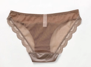 Detail of sheer mesh fabric and delicate lace trim on low-rise tan panties for women