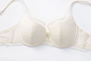 Close-up of beige lace bra featuring sheer polka dot mesh and scalloped embroidery trim