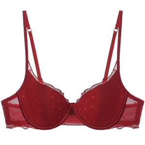 Women Sexy French Style Thin Lace Bra Polka Dot Mesh Underwired Lingerie For Large Chest Minimize Look Plus Size Bras