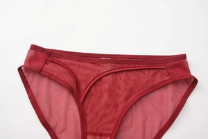 Detalle de cerca de la braga de malla roja oscura con diseño de rejilla sexy