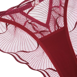 Detail of dark red lace panties showing intricate embroidery and premium mesh fabric