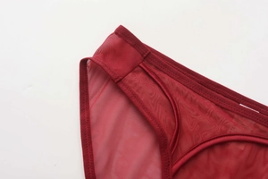 Primer plano de la malla transpirable rojo oscuro y costuras de calidad en esta braguita
