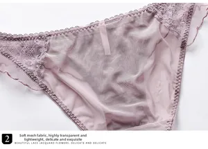 Detail aus weichem, transparentem Netzgewebe mit zarter floraler Spitzenstickerei auf Slip