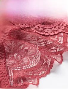 Close-up detail of sheer red lace mesh fabric with delicate floral patterns for women