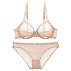 Sexy sheer mesh lingerie set with beige lace bra and panties with heart charms