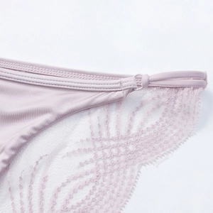 Französischer Spitzen-Slip mit satinierter Oberfläche und Stickereien für Damen