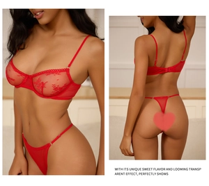 Detail of red lace lingerie set with floral embroidery and thin strap thong
