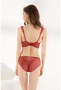 Detail of burgundy lace lingerie set featuring back view of floral mesh bra and panty