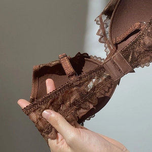 Macro shot of dark coffee lace bra featuring eyelash fabric and multi-row hook closure