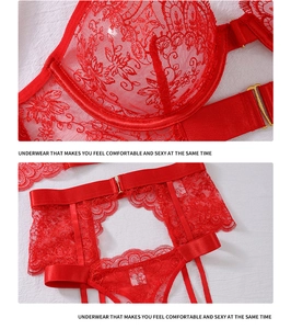 Detailed view of red eyelash lace cups and garter straps with gold metallic adjusters