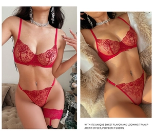 Détails de broderie rose rouge sur l'ensemble de lingerie trois pièces en mesh fin