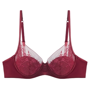 Elegant deep red French lace embroidery bra with soft underwire and satin wings on white