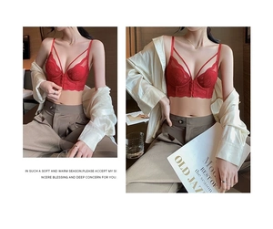 Detailed view of red lace bra with floral embroidery and front closure styling