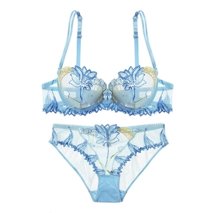 Light blue embroidered lace lingerie set with mesh bra and panties on white background