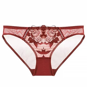 Detalle del bordado floral rojo en la braga de encaje semitransparente para mujer