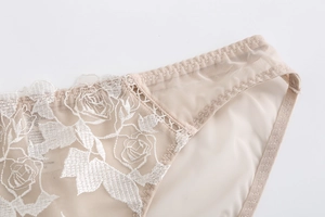 Primer plano de bragas de encaje beige con bordado de rosas y tela de malla ligera