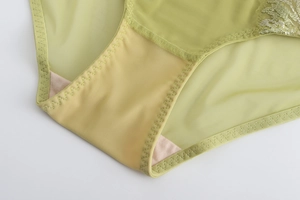 Détails de culotte en dentelle vert clair avec maille fine et broderie florale