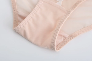 Detalle macro de bordado de encaje rosa y tejido de malla fina en bragas bajas