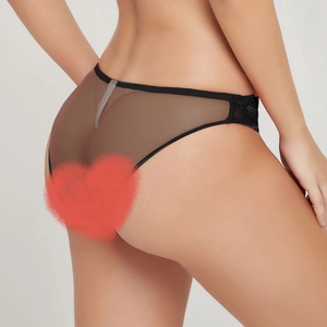 Bragas sexys de malla negra y encaje transparente para mujer con diseño de cintura baja