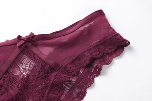 Close-up of deep red floral lace texture and bow detail on sheer mesh panties