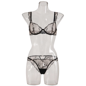 Detail of sheer lace embroidery on a beige and black mesh bra and panty lingerie set