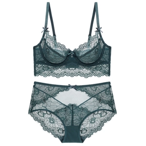Sexy Transparent Lace Bra Panty Matching Lingerie For Women Ultra Thin Underwired Floral Embroidery Minimizer Large Size