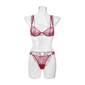 Detail of dark red sheer lace bra and mesh panties set with intricate embroidery