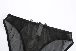 Vue détaillée de la culotte en dentelle noire transparente avec des bords festonnés fins