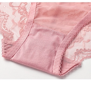Detail of pink floral lace embroidery and sheer mesh fabric on low-rise panties